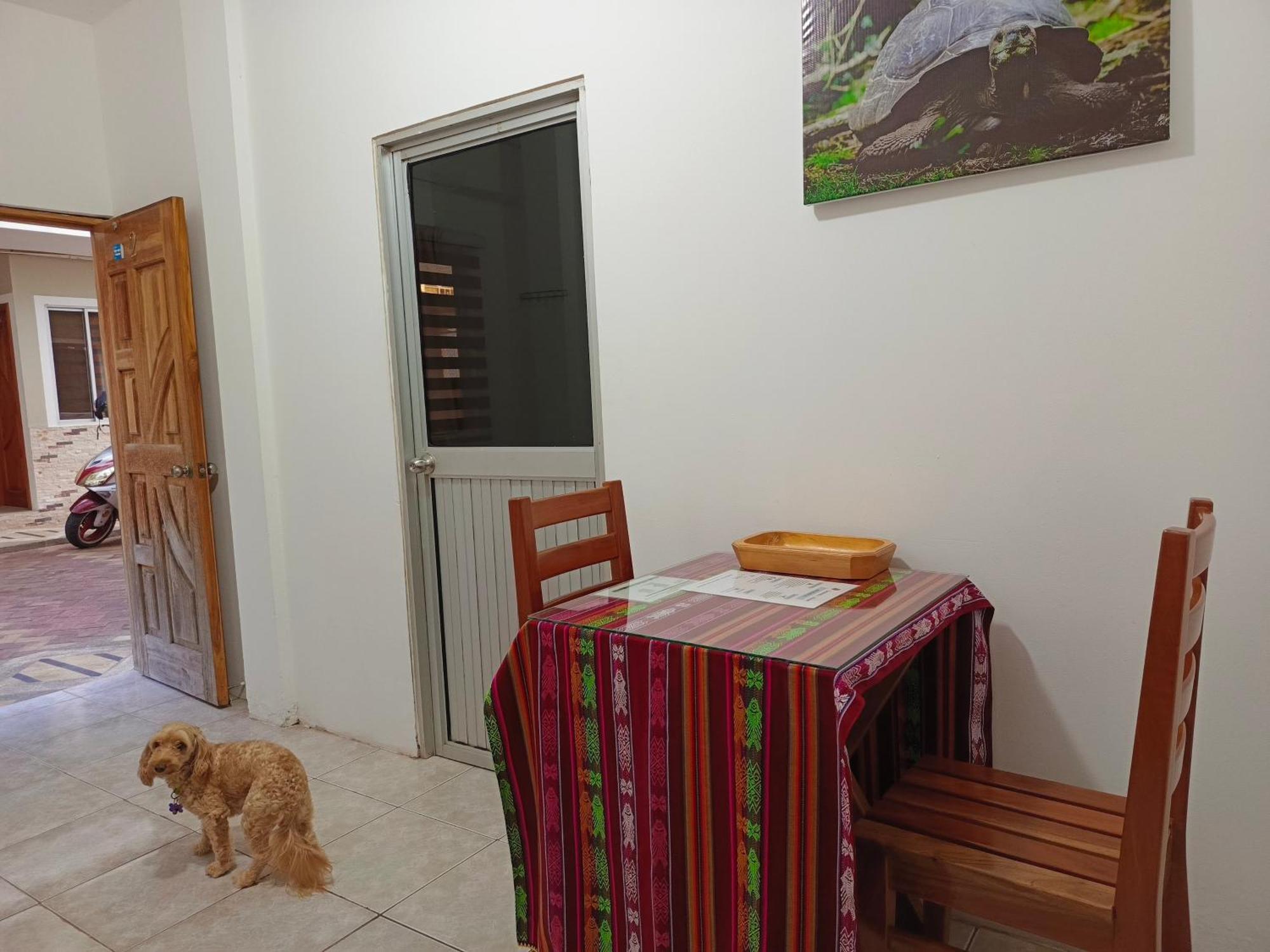 Teresita'S House Suites Con Cocina Privada بويرتو بكويريزو مورينو المظهر الخارجي الصورة
